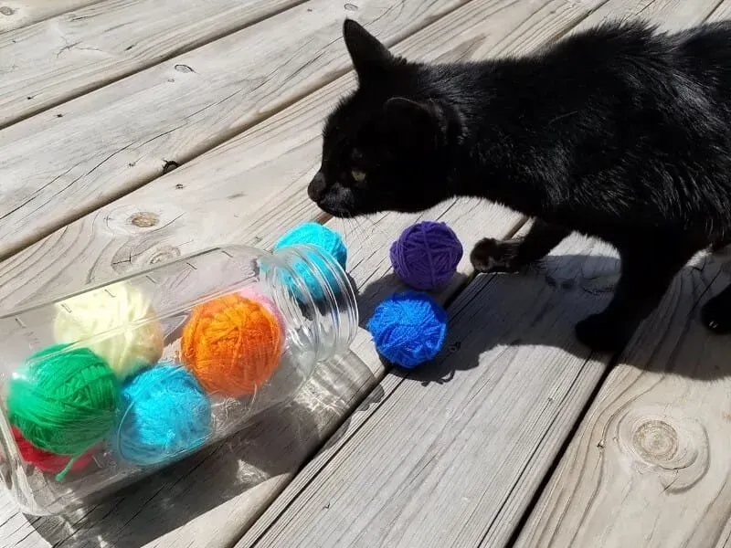 Quick & Easy: how to make cat toys out of household items