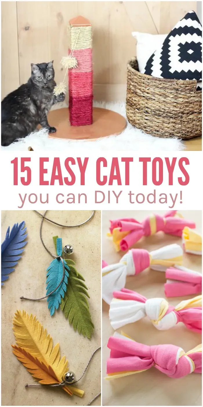 Best How to Make Simple Cat Toys Your Cat Will Adore