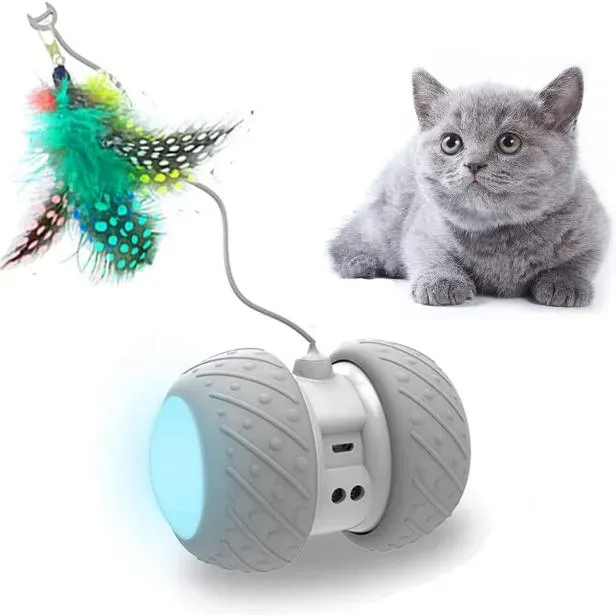How We Found the Best Cat Toys 2022: Our RealWorld Testing