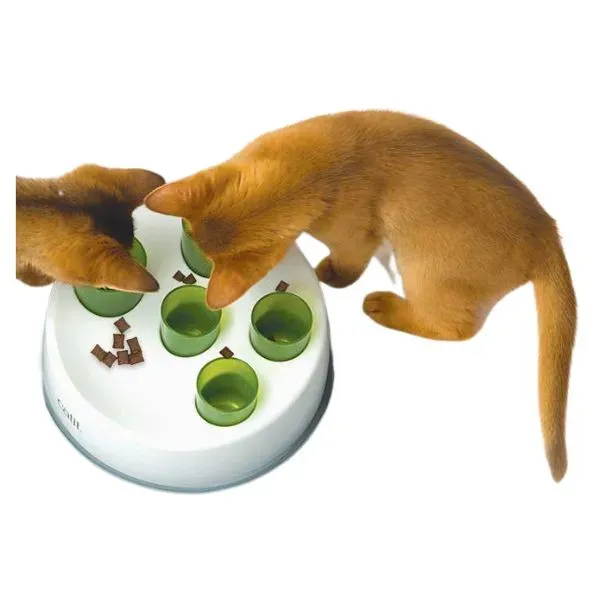 Inside the Catit Senses 0 Digger: Features That Get Paws Working
