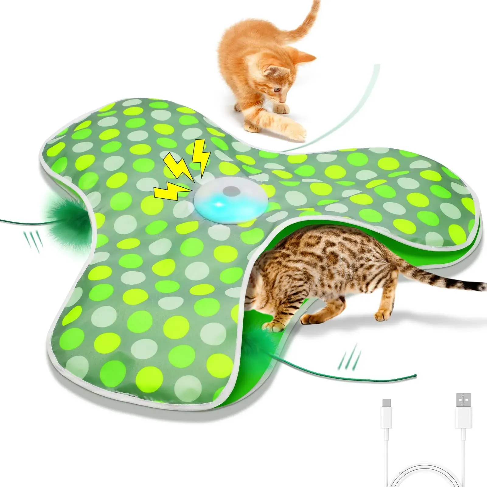 Discover amazing interactive cat toys for older cats