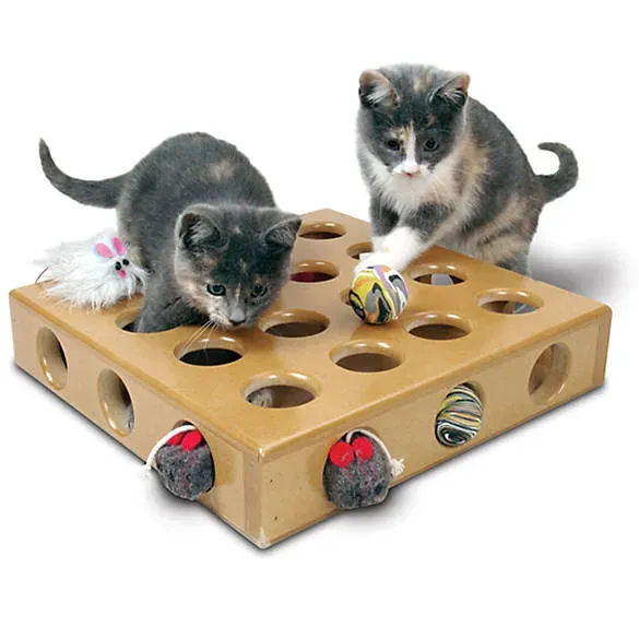 Amazing interactive cat toys petsmart your cat will love