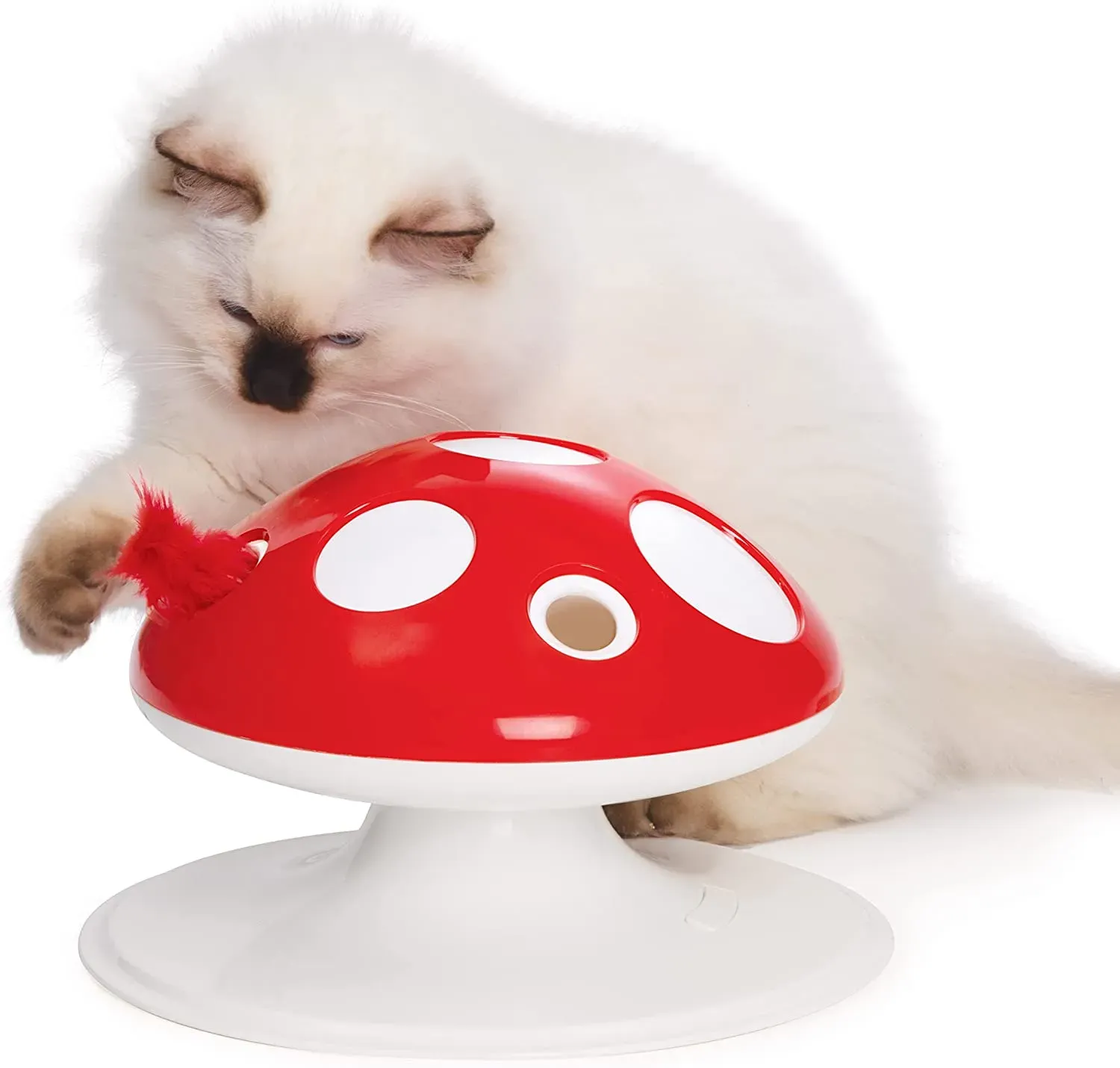 Delight Your Cat with Interactive Mushroom Cat Toy
