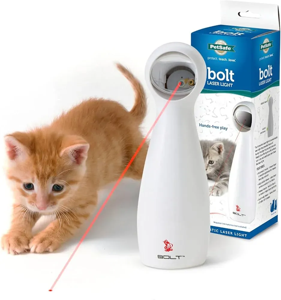 Keeping Play Exciting Beyond the Auto Laser Cat Toy