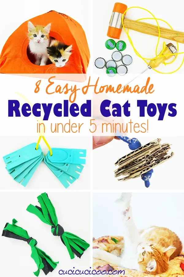 Keeping Play Safe and Engaging with Household Cat Toys