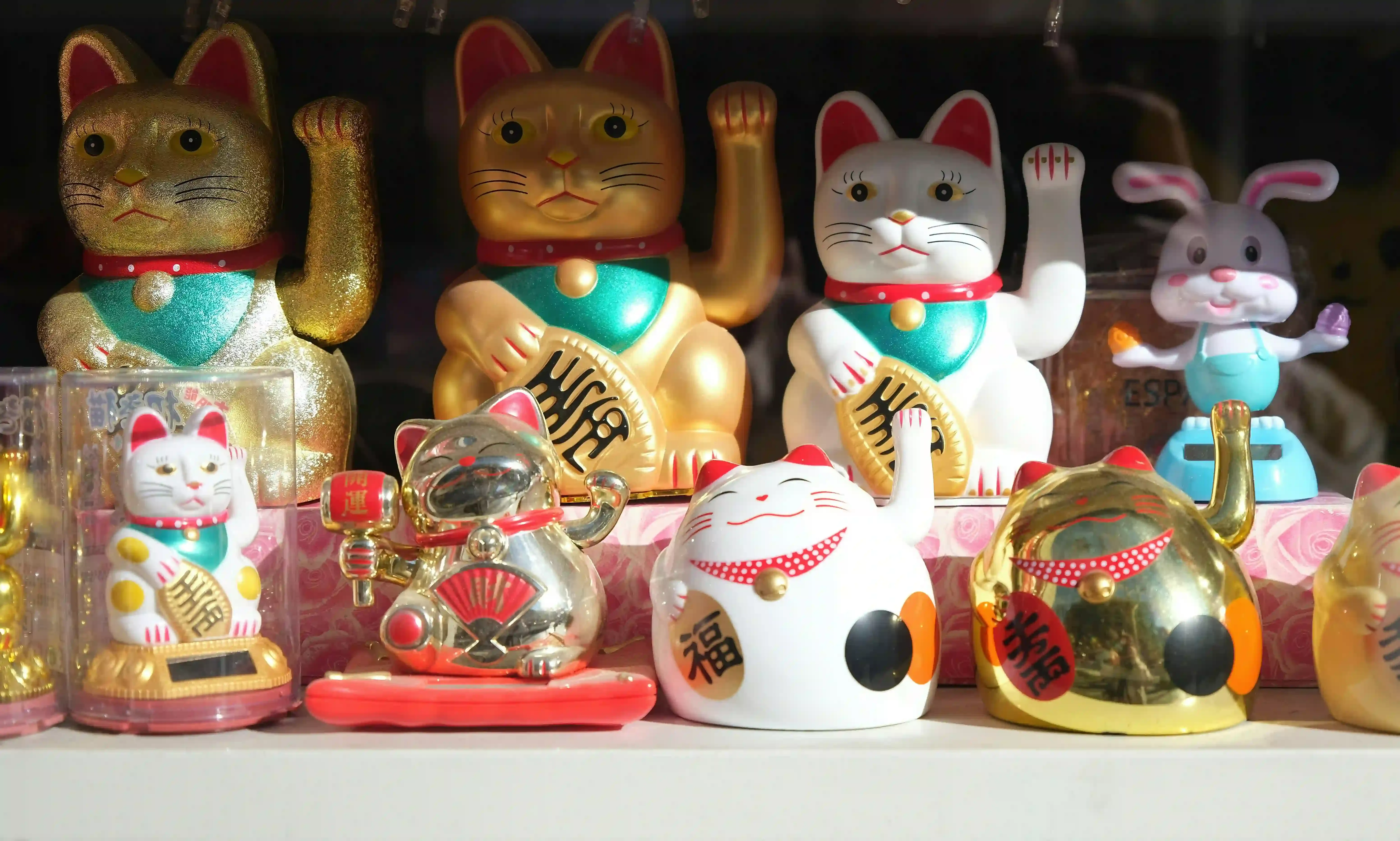 Keeping Play Safe and Fun for Your Feline