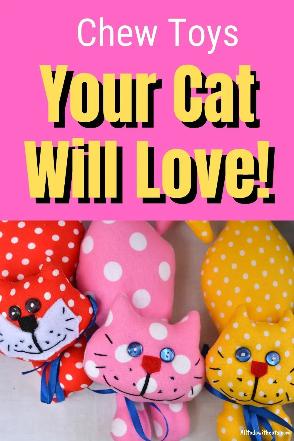 Keeping Playtime Fun and Healthy for Your Cat