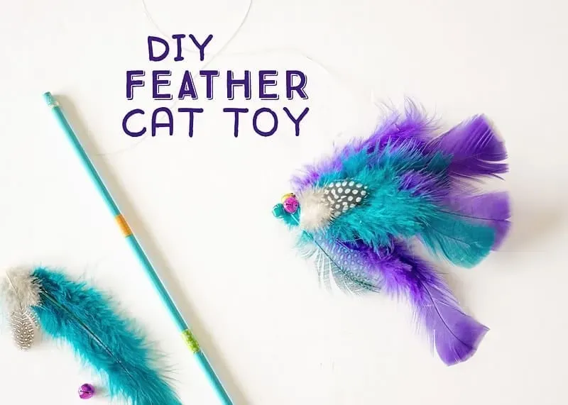 Keeping the Fun Alive: Maintaining and Refreshing Your DIY Cat Feather Toy