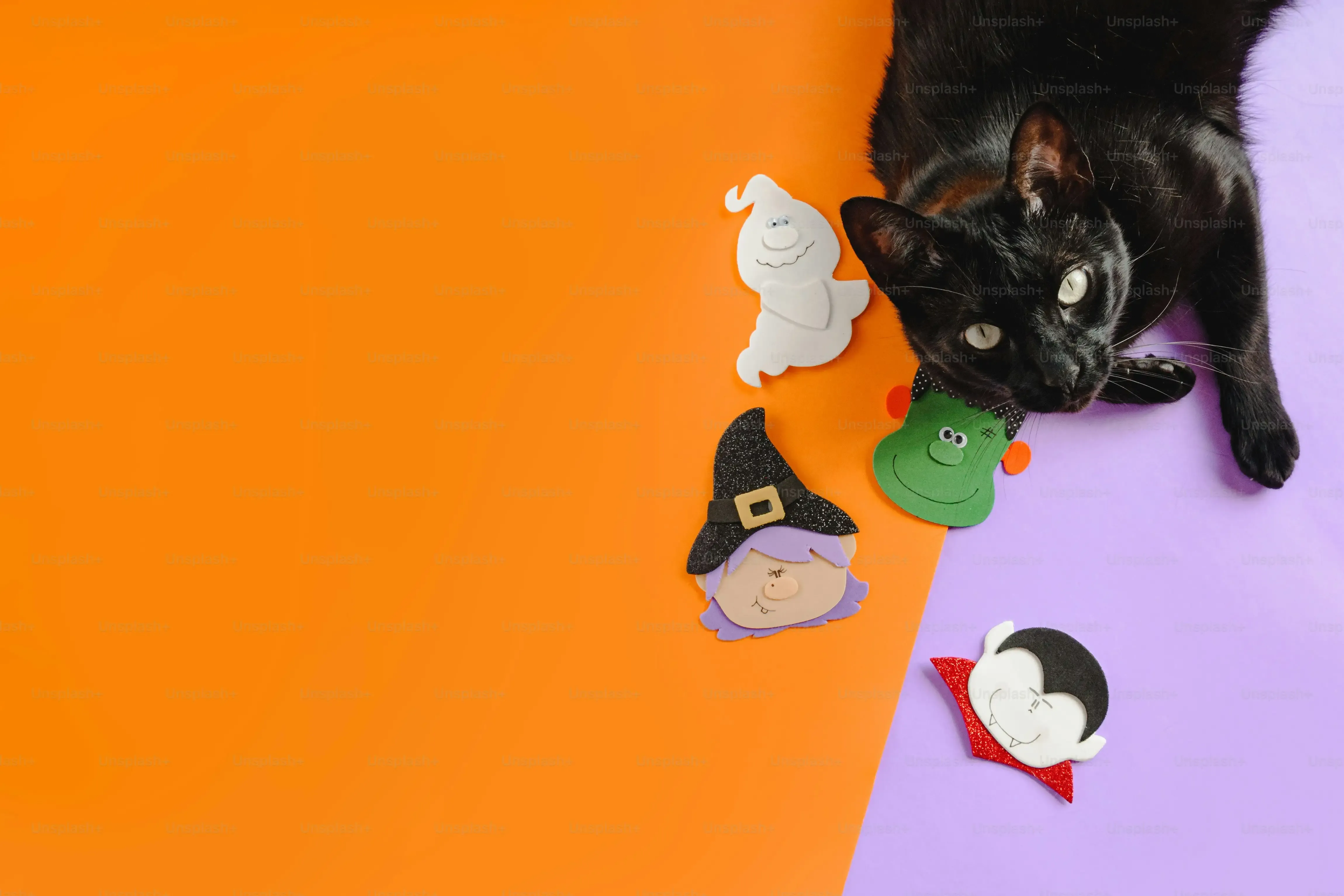 Keeping Them Interested: Rotating Your Homemade Cat Toys