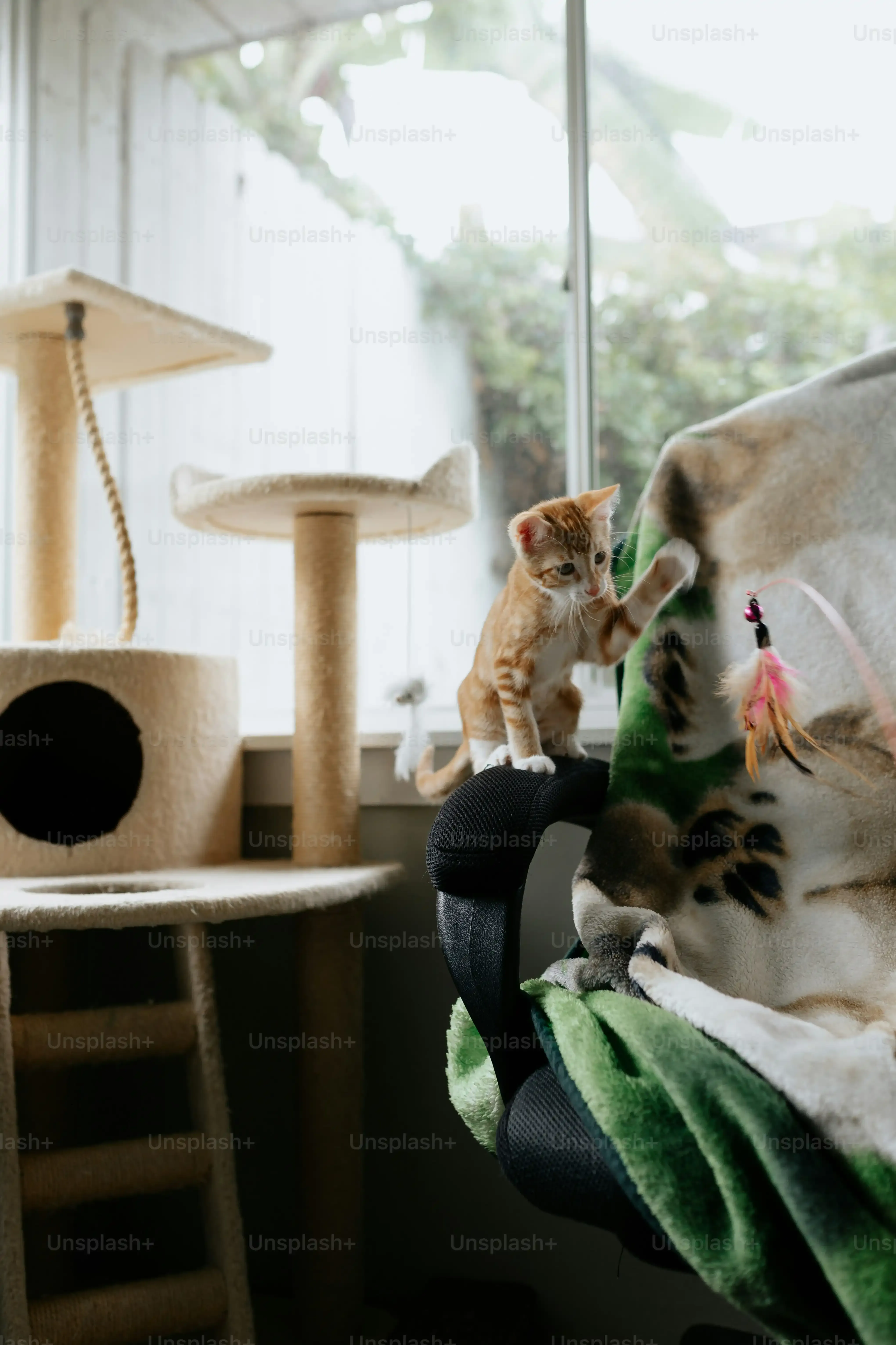 Level Up: Craftier Homemade Cat Toys Your Feline Might Approve Of