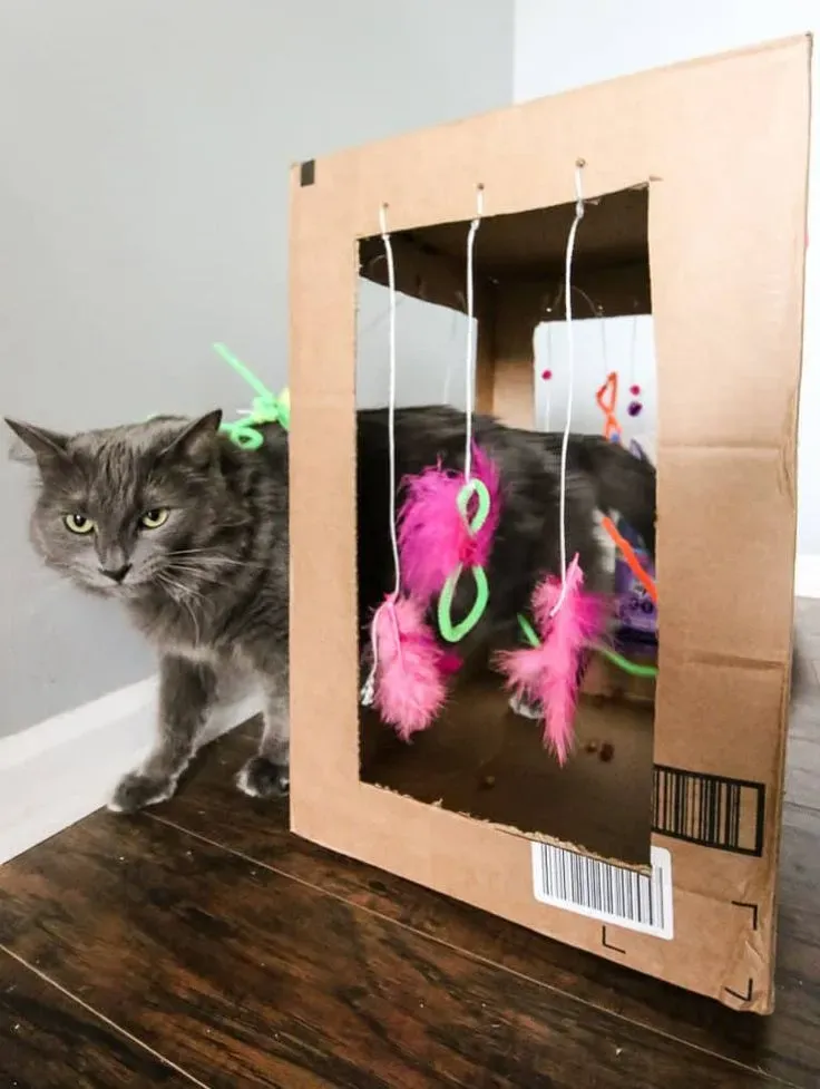 Level Up: More Creative DIY Cat Toys Pinterest Inspiration