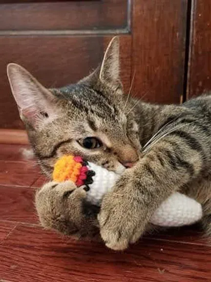 Making Your Crochet Doobie Cat Toy Pattern Your Own