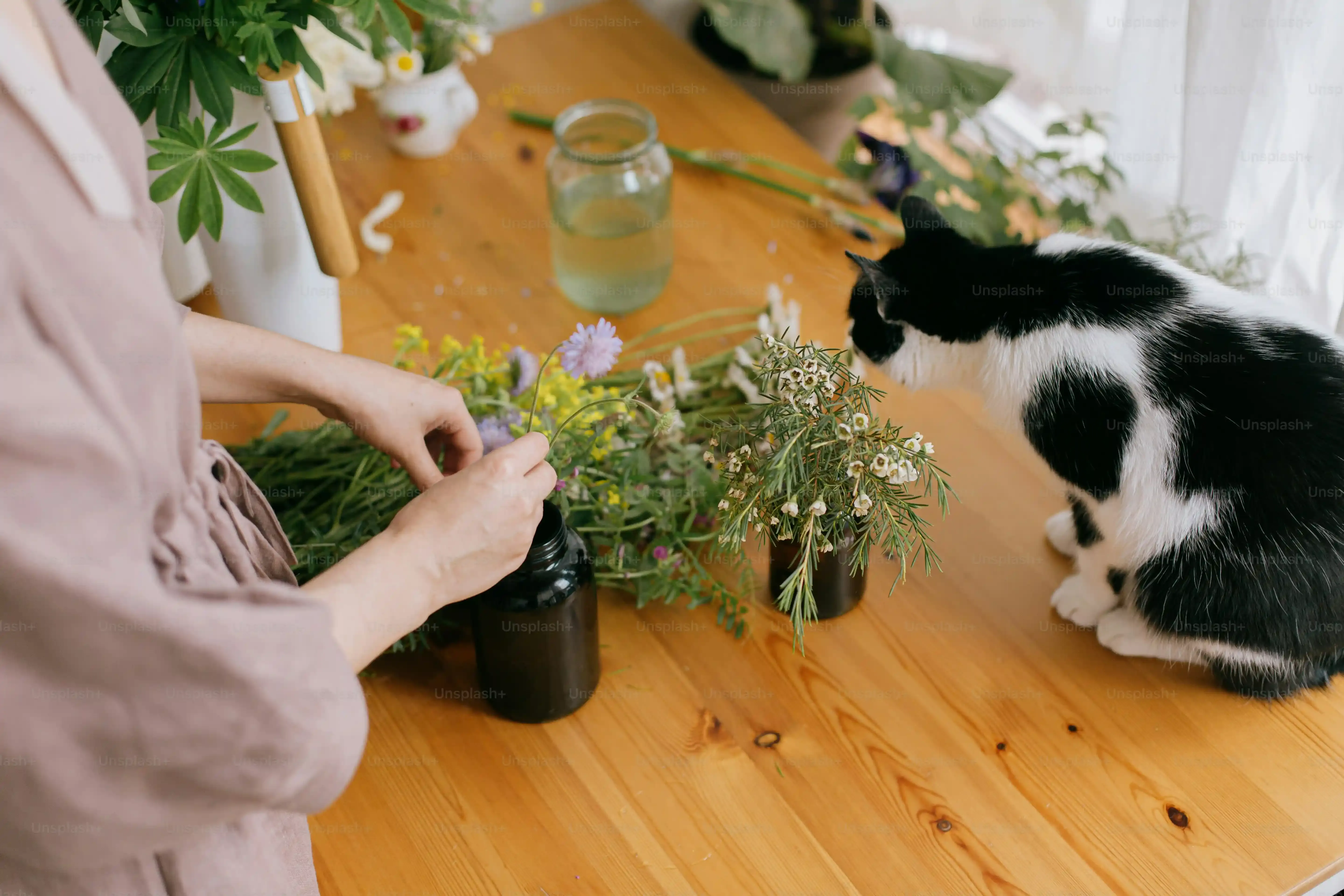 Making Your DIY Foraging Toys a Hit with Your Cat