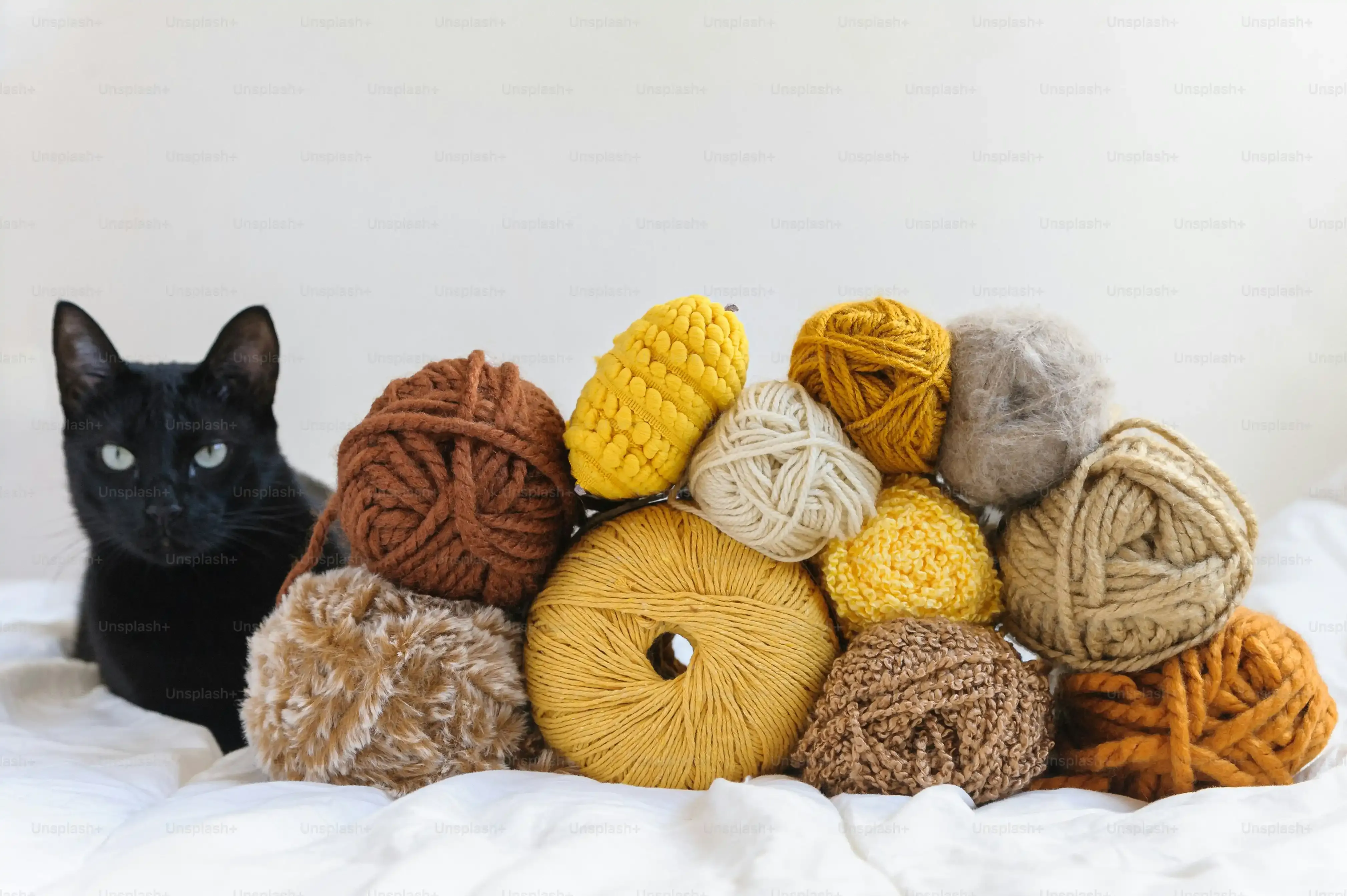 More Than Toys: Supporting Cats in Need