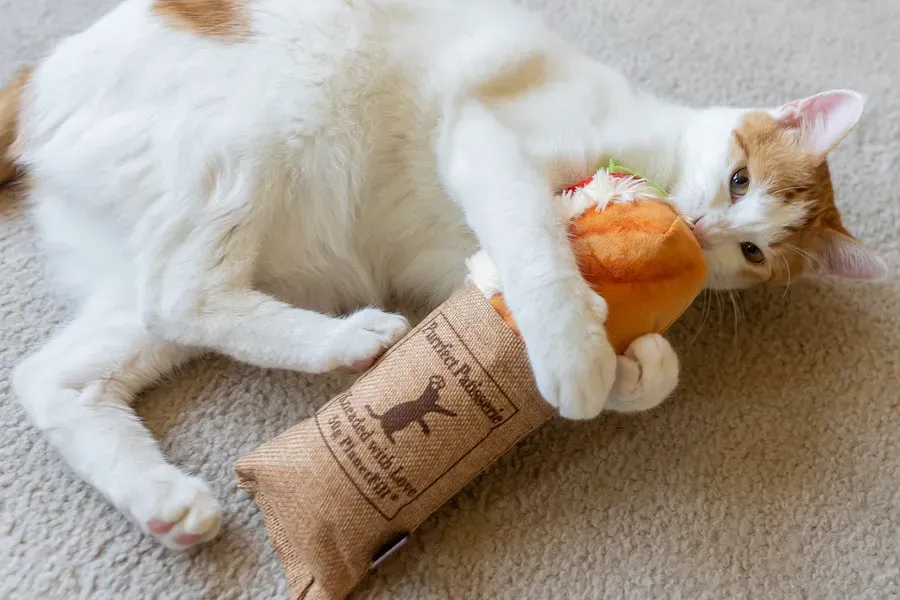 Our Top Picks: The Actual Best Cat Kicker Toys
