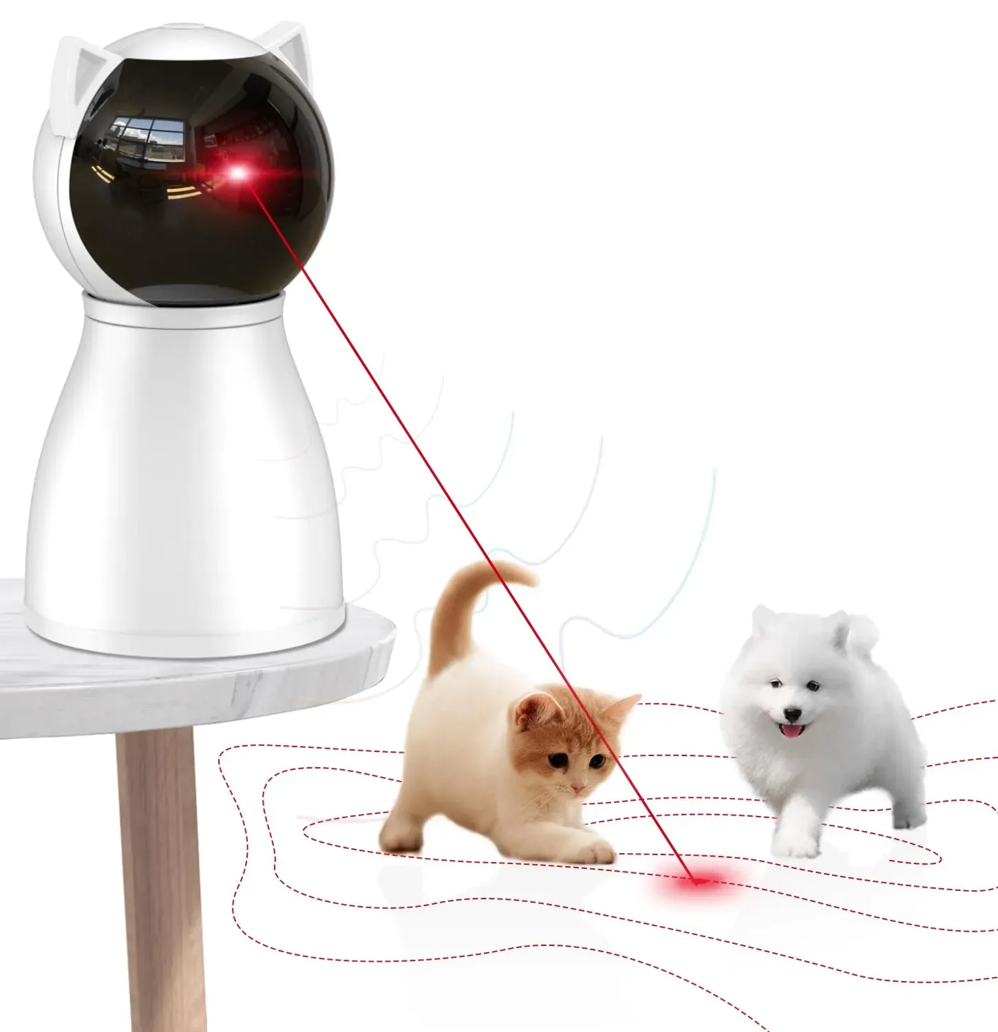 Picking the Best Cat Laser Toy: Safety First