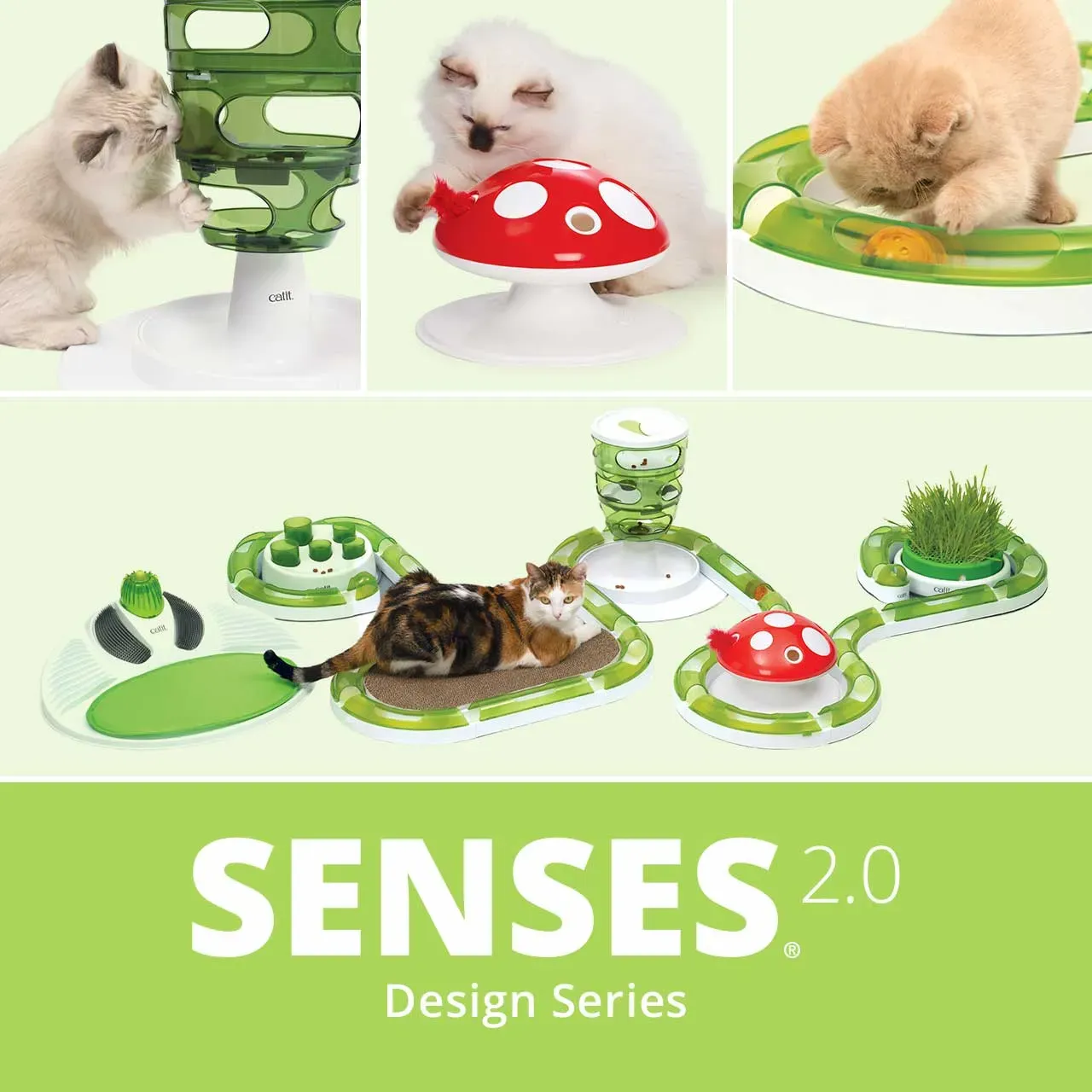 Picking the Perfect Catit Interactive Cat Toy and Building a Play Zone