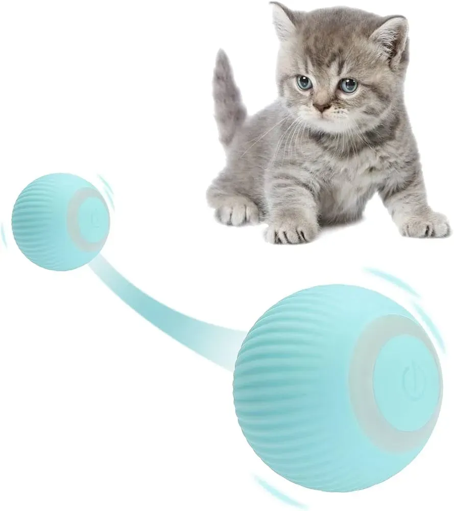Picking the Right Interactive Cat Ball Toy: What to Look For