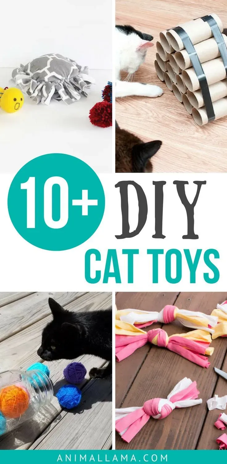 Playing Safely with Your Simple Homemade Cat Toys