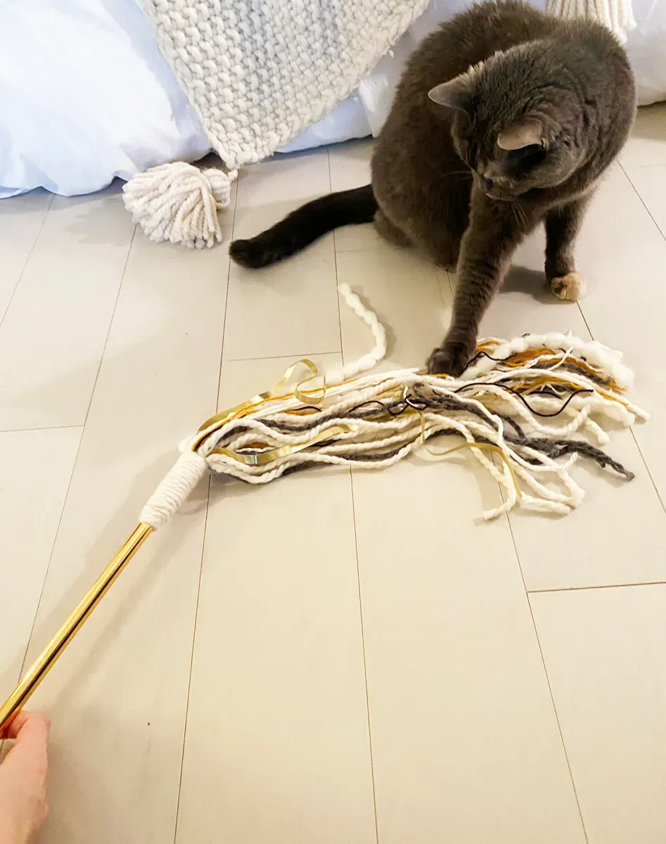 Playing Smart: Using Your DIY Cat String Toy Safely