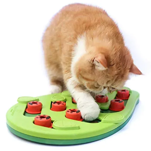 Puzzle & Foraging Toys: Brain Boosters for Bored Cats