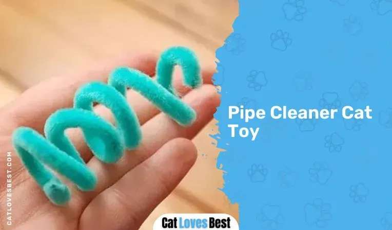 Quick & Easy DIY Cat Toys with Pipe Cleaners