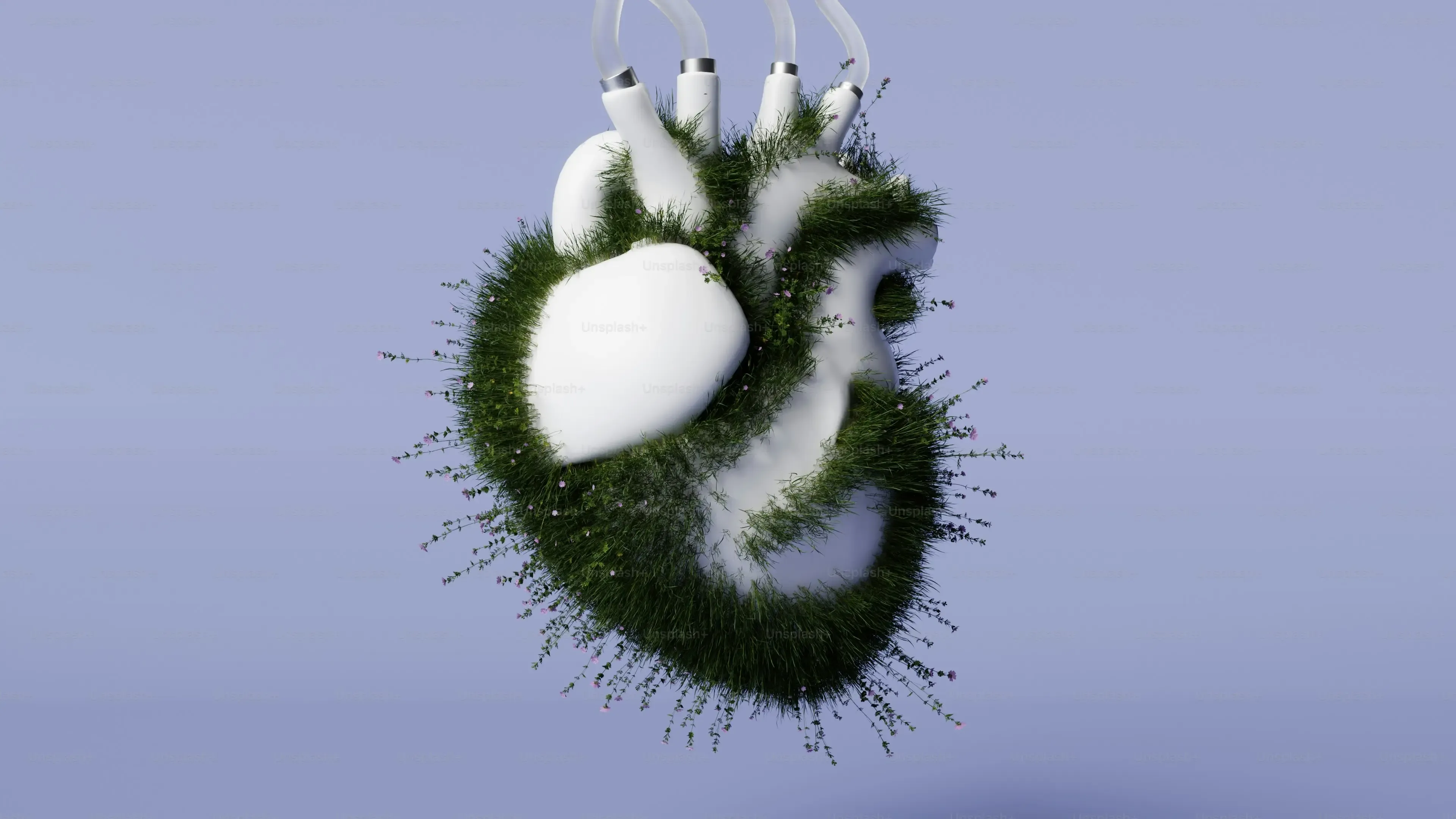Real Benefits of Interactive Hunting Play for Your Cat