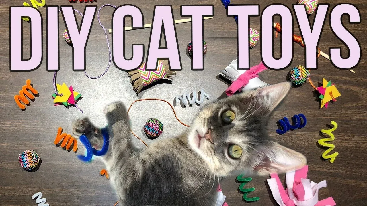 Regular Checks Keep Your Safe Homemade Cat Toys Safe