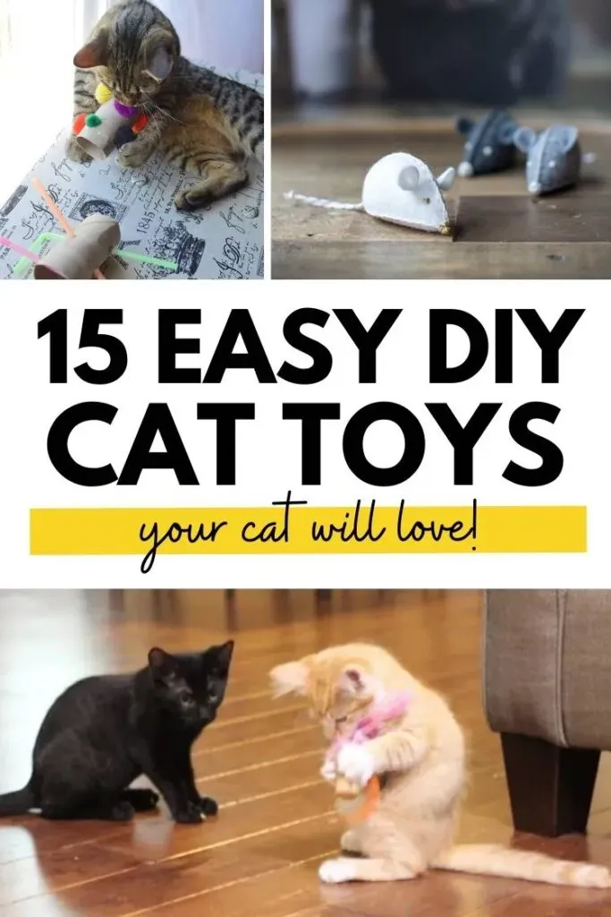 Safety First: Making Sure Your Homemade Cat Toys are Safe