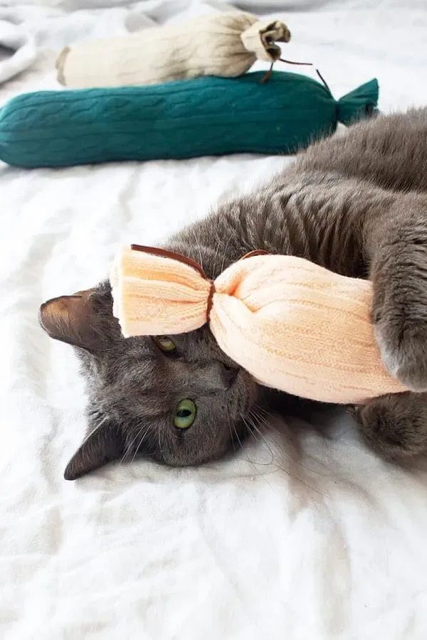 Sewing Up a Classic Fabric DIY Cat Toy with Catnip