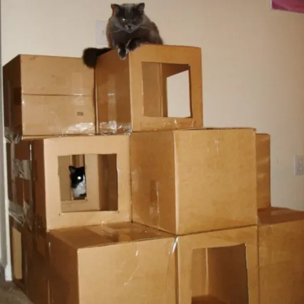 Simple DIY Cat Hunting Toys You Can Make Today