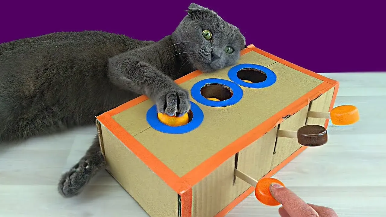 Simple Homemade Cardboard Cat Toys You Can Make Today