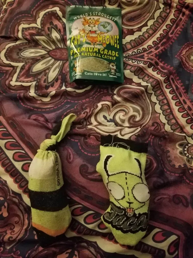 Simple Methods for Homemade Catnip Toys (Even in 5 Minutes!)