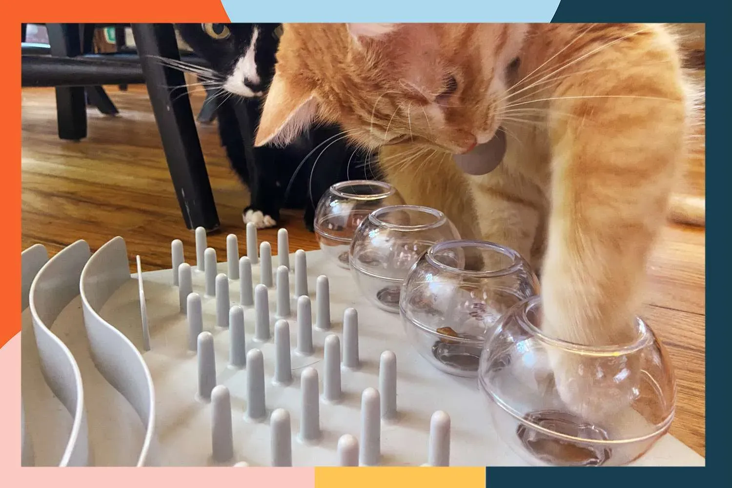 Sorting Through the Toy Box: Types Your Cat Will Love