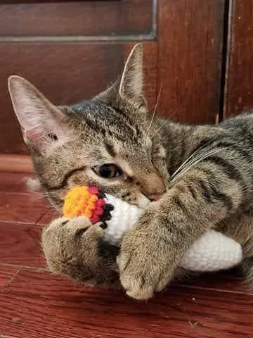 Stuffing and Finishing Your Crochet Cat Toy Joint