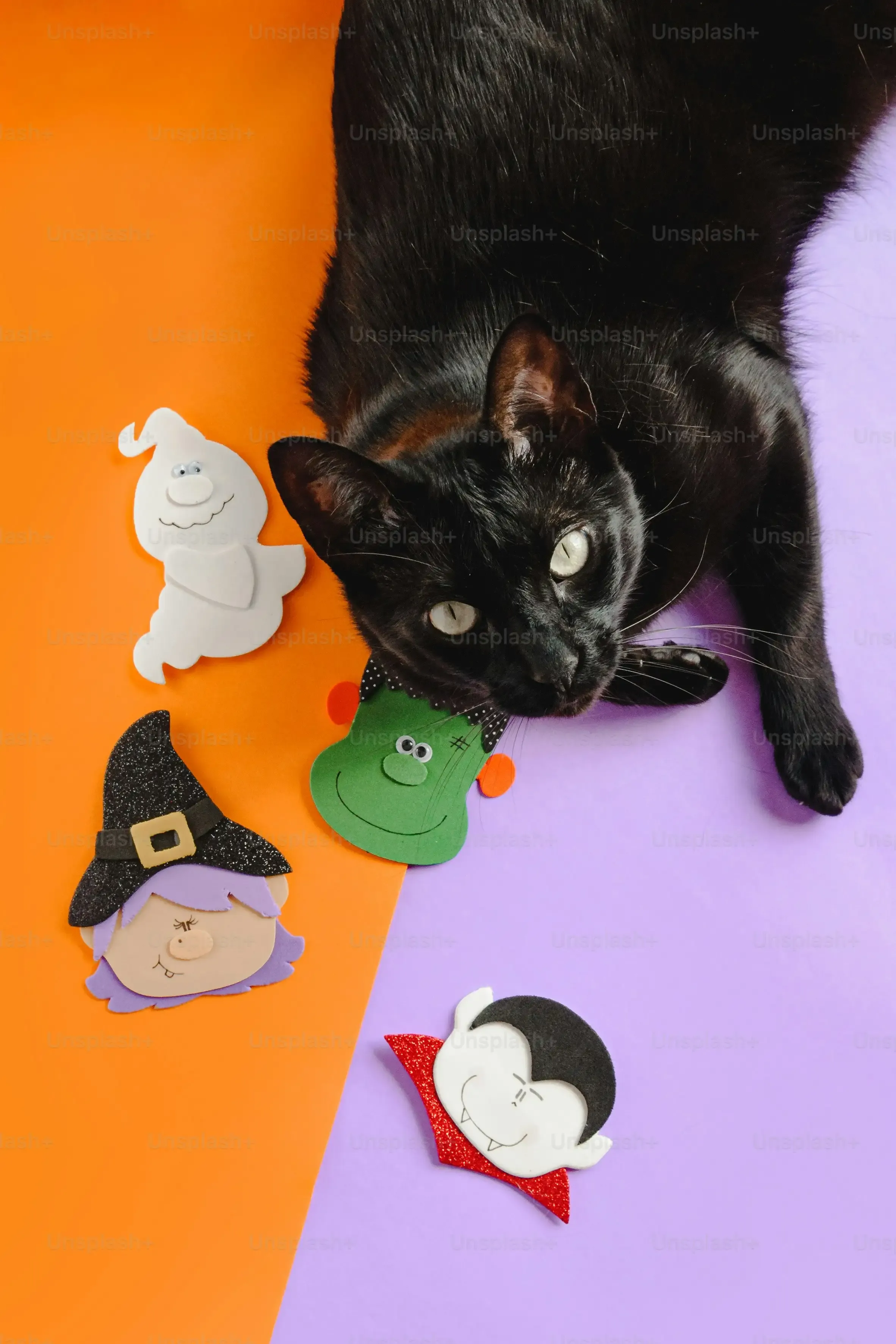 Super Simple DIY Cat Toys with Catnip: Projects for Beginners