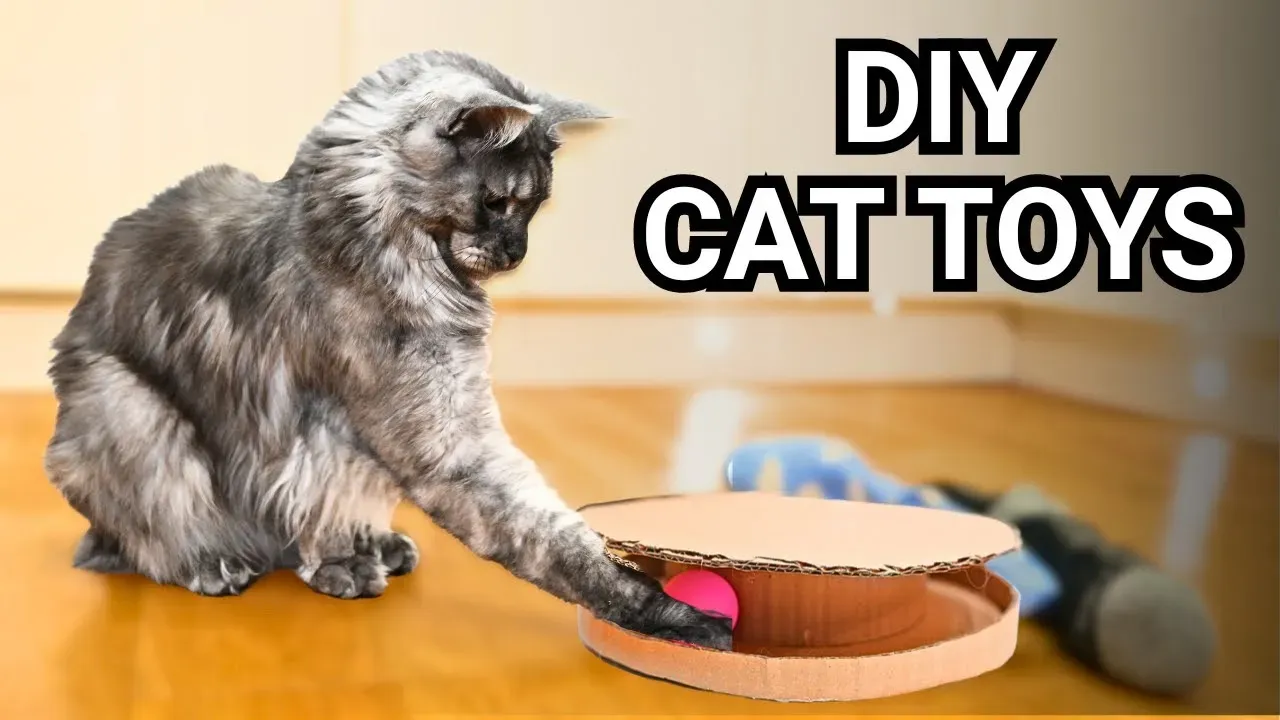 Super Simple DIY Cat Toys You Can Make Today
