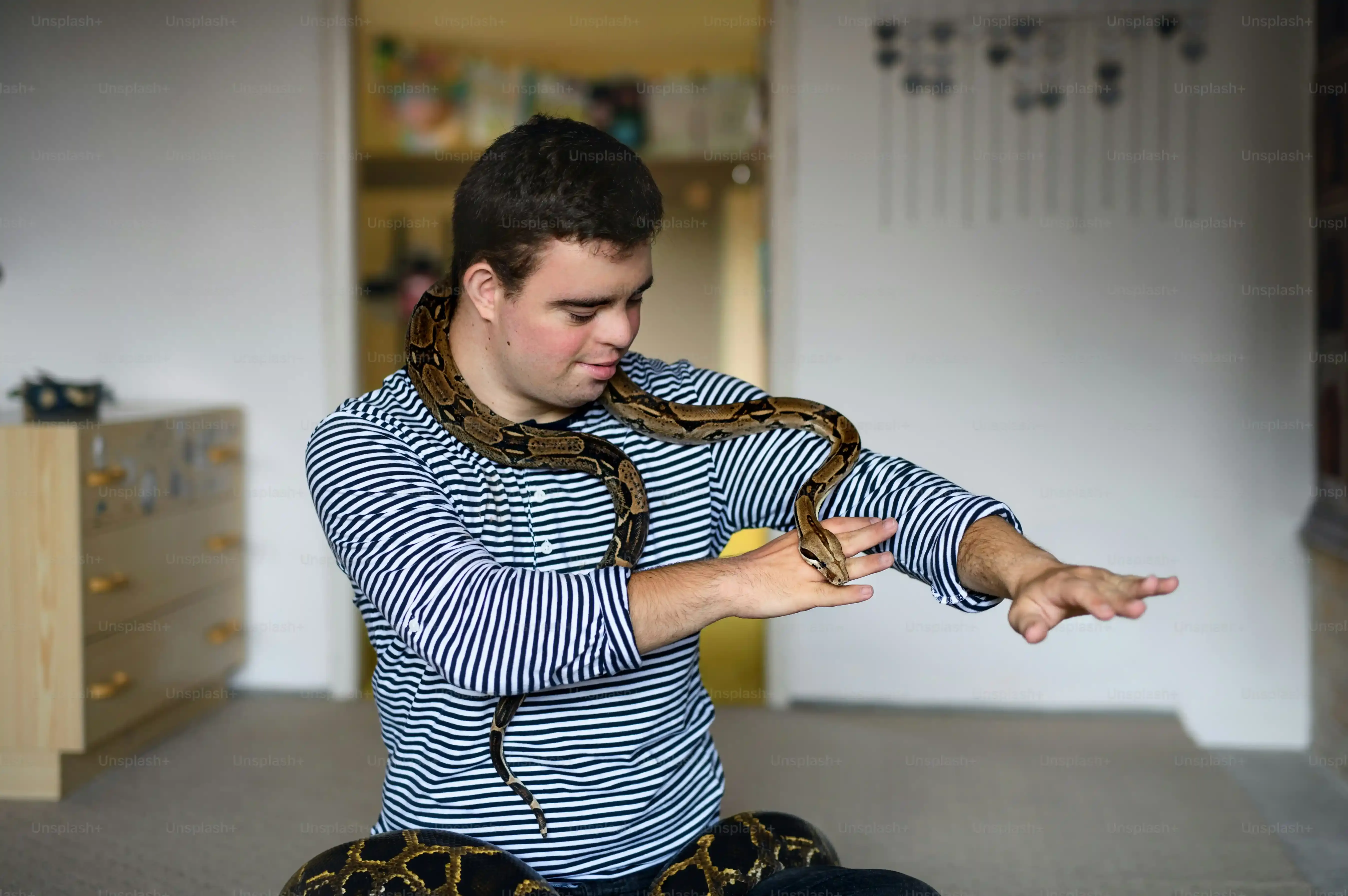 The Real Impact: How a Cat Toy Snake Interactive Boosts Cat Wellbeing
