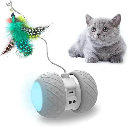 Types of Best Automatic Cat Toys: From Lasers to Treat Dispensers