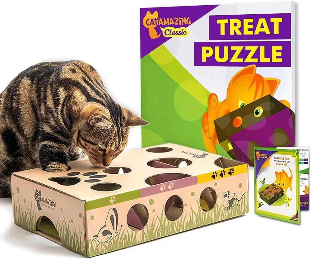 Types of Best Cat Puzzle Toys Available