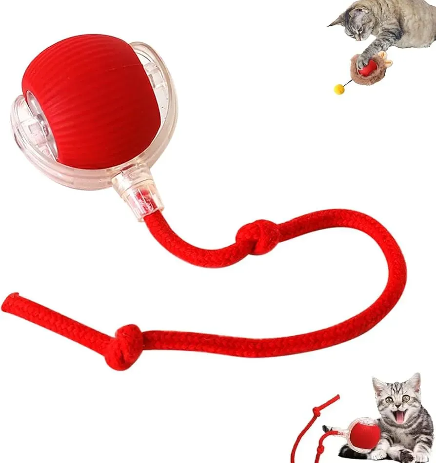 Types of Interactive Cat Toys Ball Options