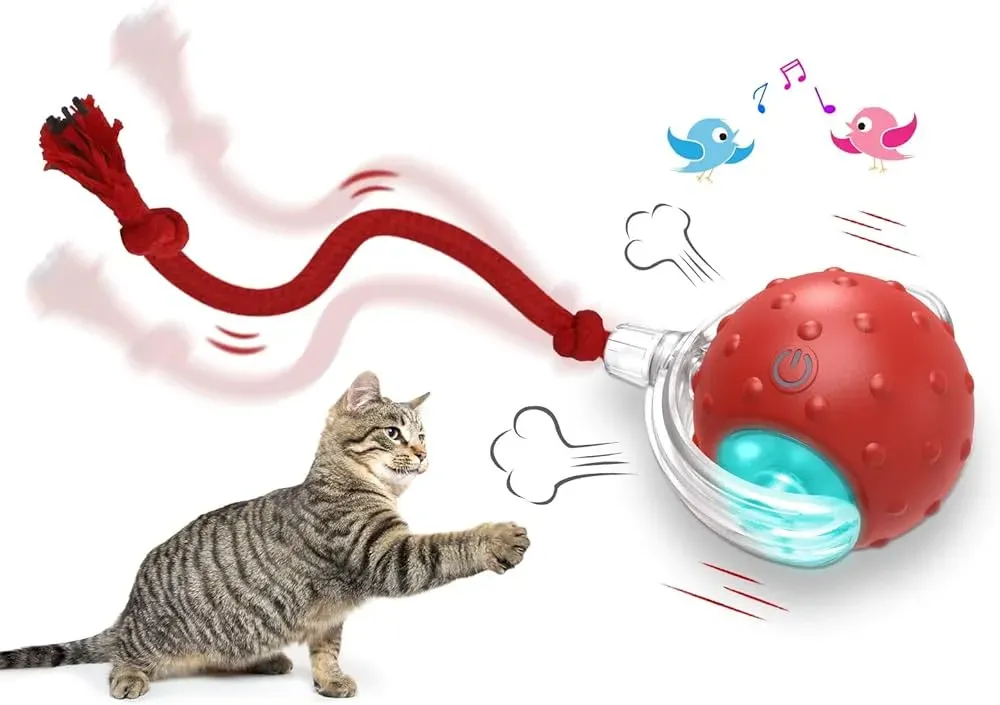 Types of Interactive Cat Toys to Look For Nearby