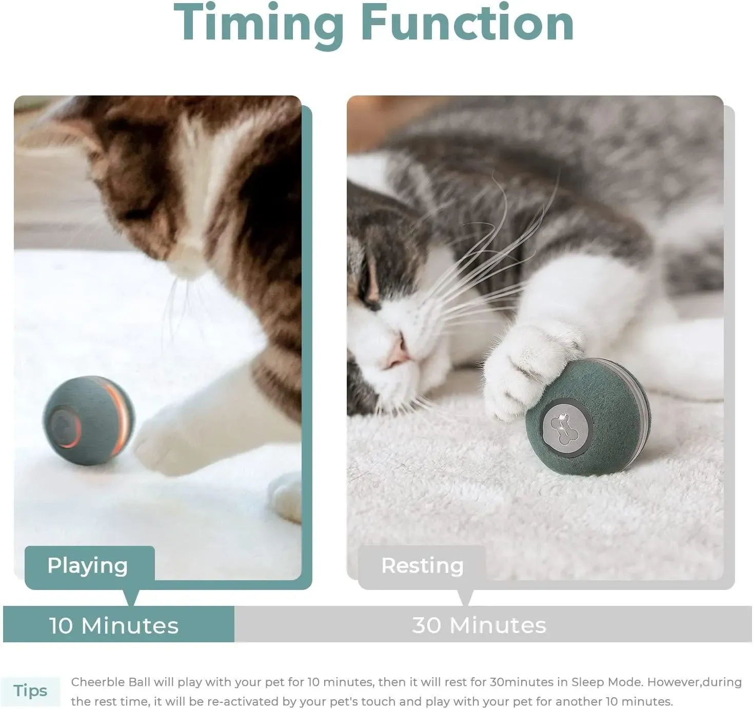 Using and Caring for Your Cheerble Smart Interactive Cat Toy
