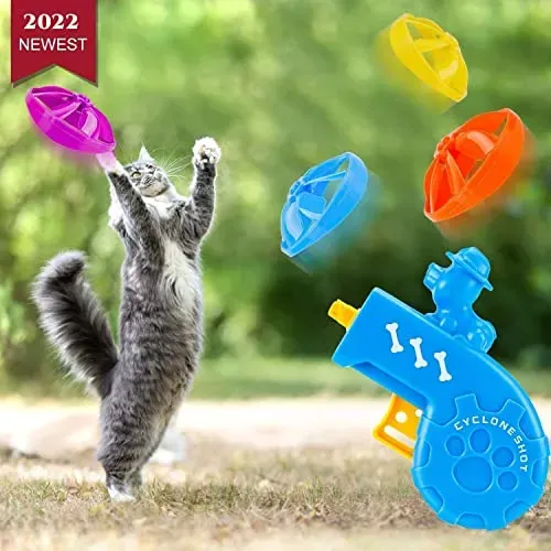 What Makes a Toy One of the Best Cat Fetch Toys?
