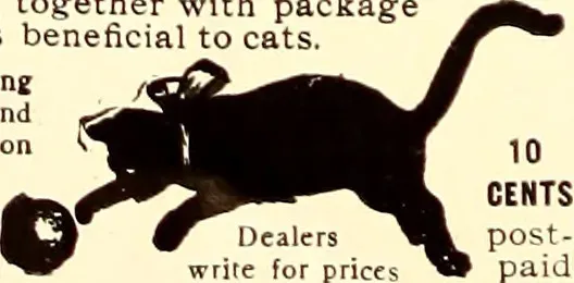What Makes the Best Cat Toy for Home Alone Cats?