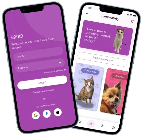 Where to Shop Interactive Cat Toys