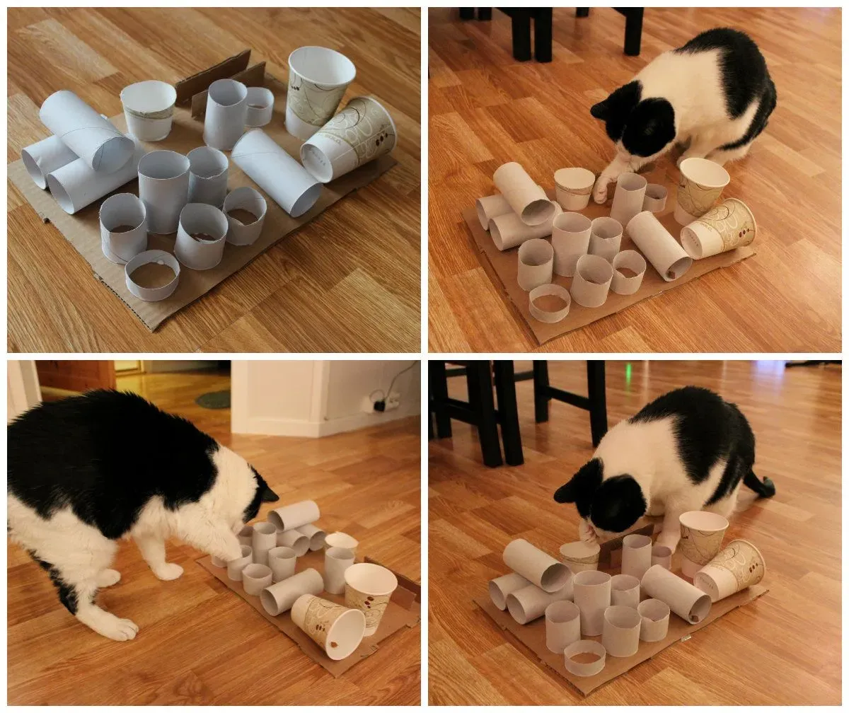 Why Bother with Homemade Cat Puzzle Toys?
