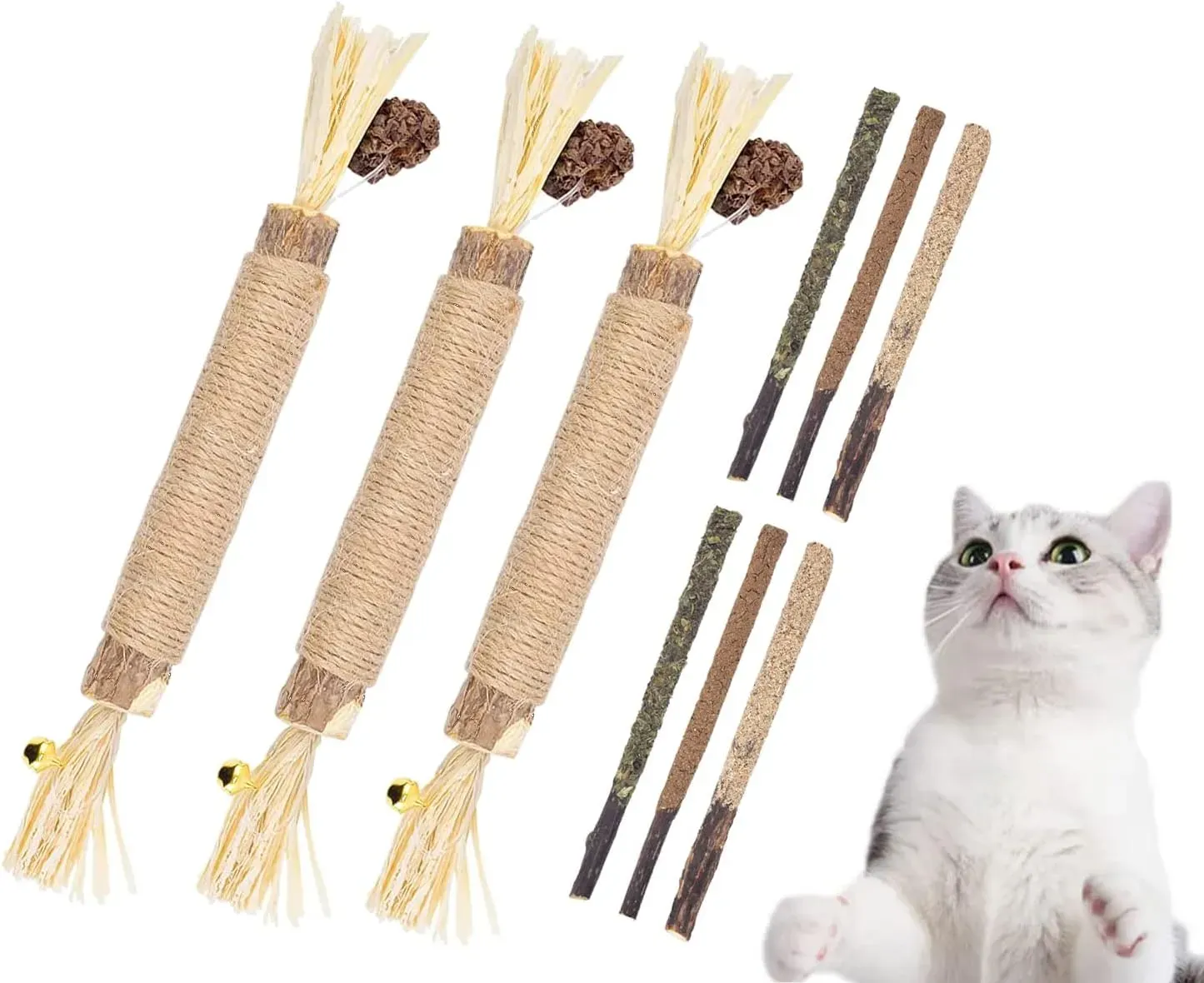 Why Cat Dental Health Needs Your Attention