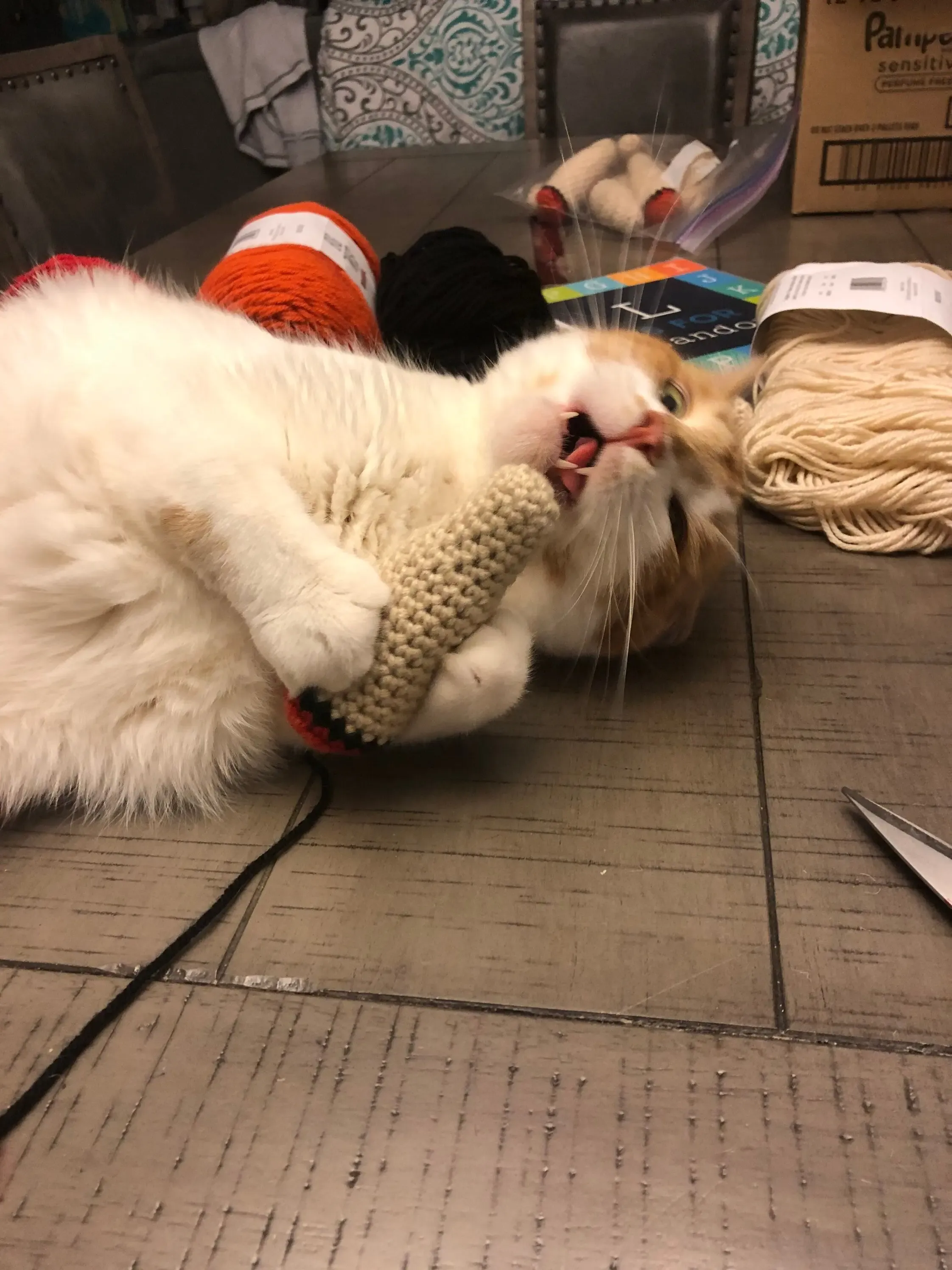 Why Cats Go Crazy for a Crochet Joint Cat Toy