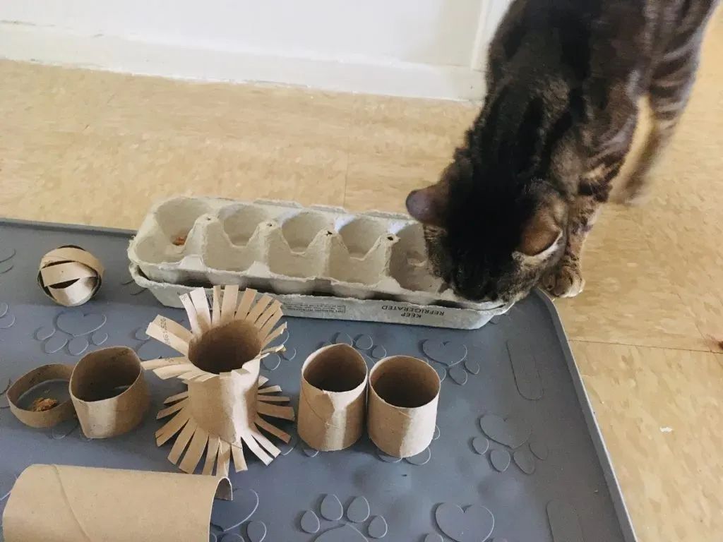 Why Homemade Cat Toys? More Than Just Saving Cash
